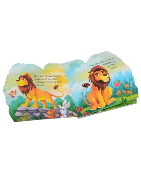 Ben Kimim? Aslan Parıltı Yayınları - Resim 2