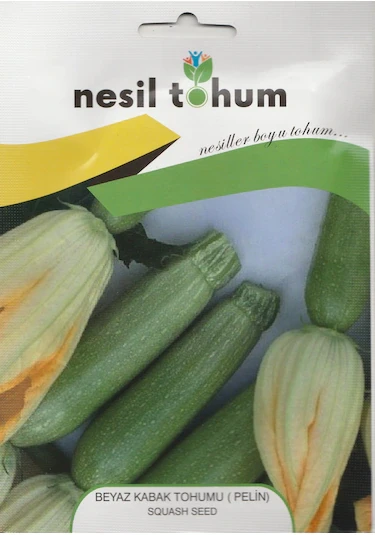NESİL BEYAZ KABAK TOHUMU (PELİN) 10 GRAM ürün görseli 1