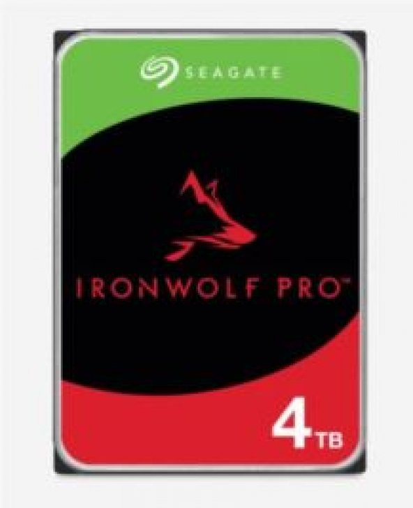 NAS INT 4TB IRONWOLF PRO USB 3.2 Dahili Sabit Disk