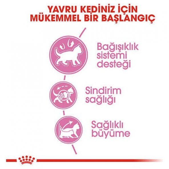 Royal Canin Kitten Yavru Kuru Kedi Maması 10 Kg - Resim 6