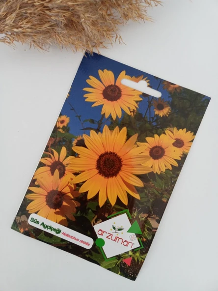 SÜS AYÇİÇEĞİ TOHUMU ürün görseli