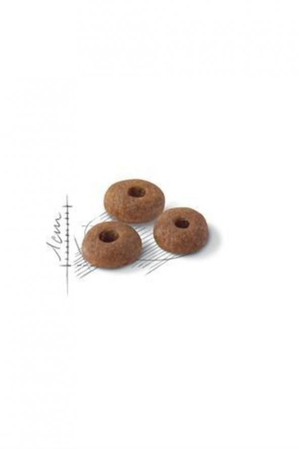 Fit 32 Kedi Kuru Maması 4 kg - 2
