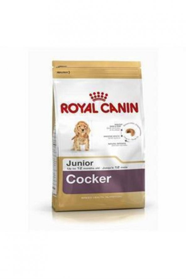 Royal Canin Cocker Junior Yavru Köpek Maması 3 kg