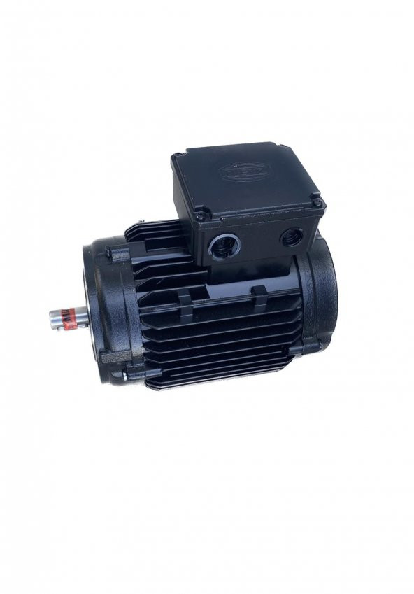 Dietz FDR 90L -125 / 6 - U -S Elektrik Motoru 1.5 kW 400V 1420 r/min