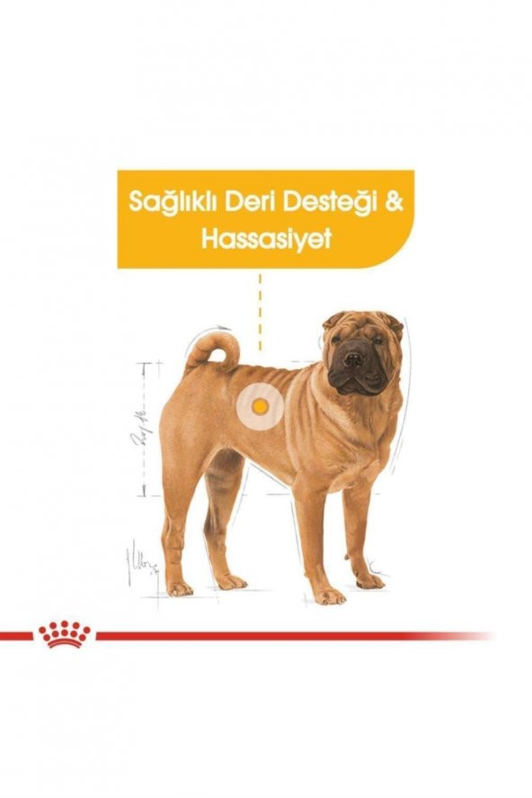 Royal Canin Medium Dermacomfort Yetişkin Köpek Maması 12 Kg - 4