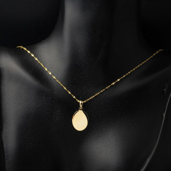 14 Ayar Altın Oval Plaka Kolye - Resim 2