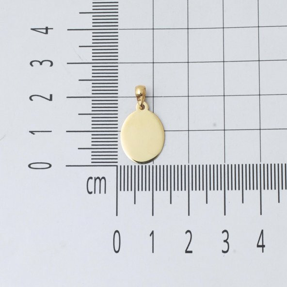 14 Ayar Altın Oval Plaka Kolye - Resim 5