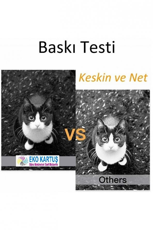 Epson Ecotank M1100 Uyumlu Mürekkep - 2