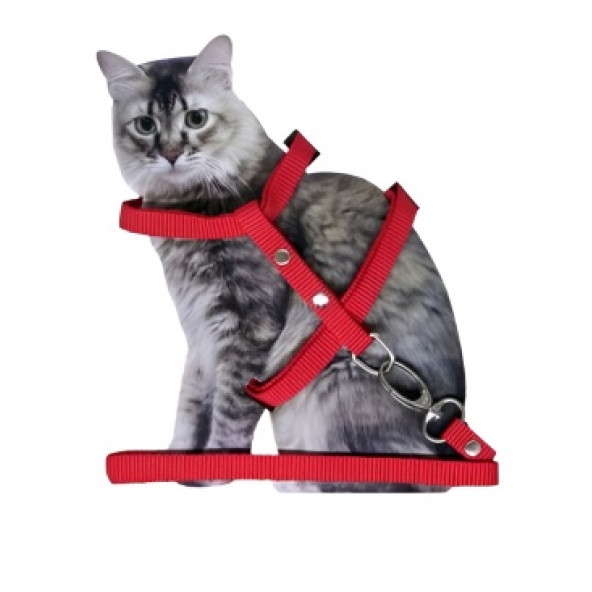 Kediler İçin Göğüs Tasması(RENKLER STOK DURUMUNA GÖRE DEĞİŞEBİLİR) - 2