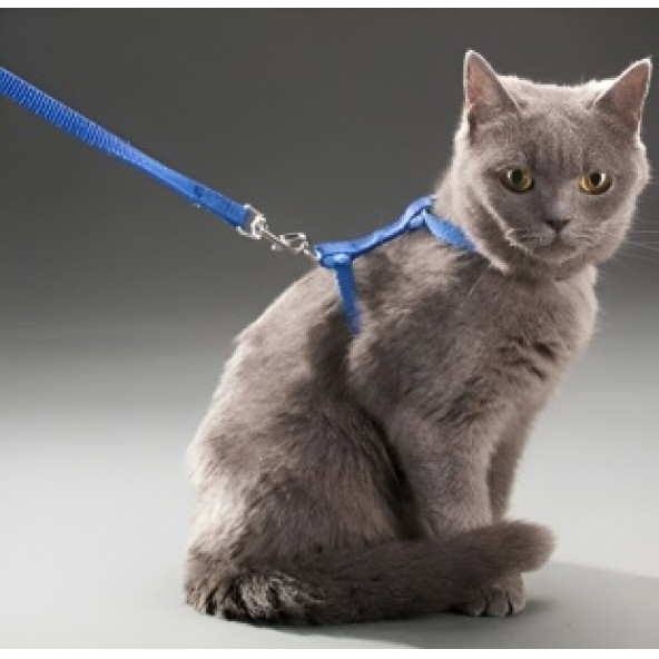 Kediler İçin Göğüs Tasması(RENKLER STOK DURUMUNA GÖRE DEĞİŞEBİLİR) - 4