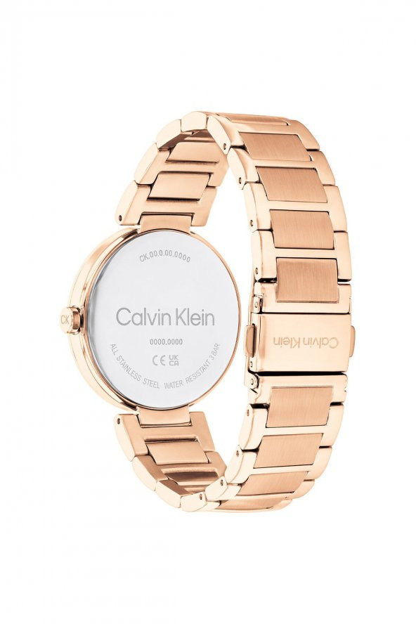 Calvin Klein Ck25200253 Kadın Kol Saati CK25200253 - 3