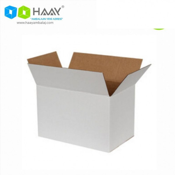HAAY AMBALAJ 35x20x20cm Tek Oluklu Koli - Beyaz (5 ADET)