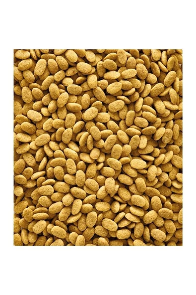 Nutribird P15 Original 10kg - 2