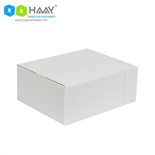 HAAY AMBALAJ 25x20x10cm Tek Oluklu Koli - Beyaz (5 ADET)