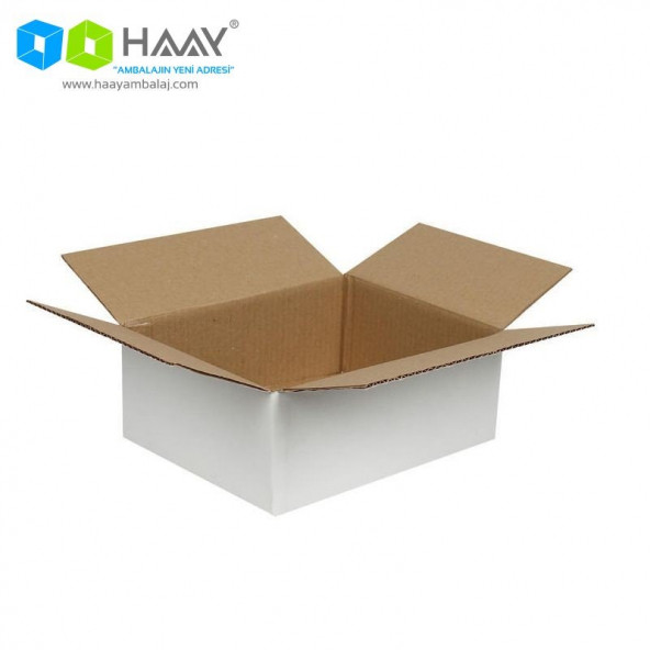 HAAY AMBALAJ 25x20x10cm Tek Oluklu Koli - Beyaz (5 ADET) - 2