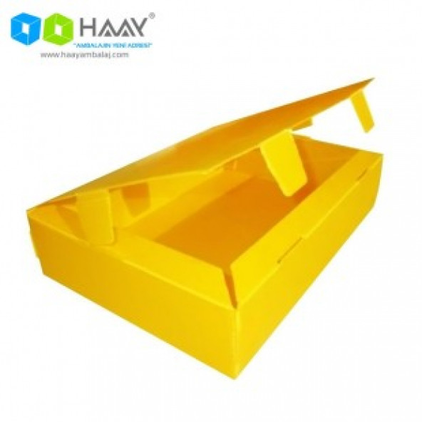 HAAY AMBALAJ 40x29x5cm Plastik Kutu - Mini Boy