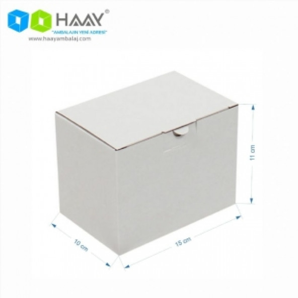 HAAY AMBALAJ 15x10x11cm Kilitli Kutu - Beyaz (6 ADET)