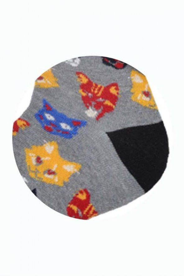Flora Erkek Kedi Desenli Hareketli Çorap Gri - 41/44 - 2