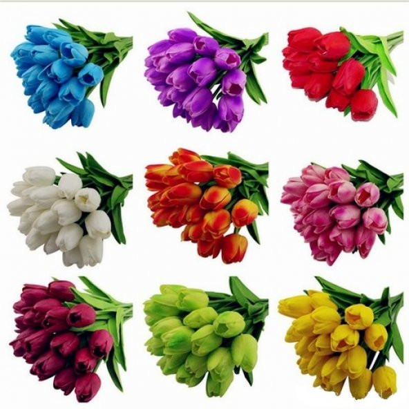 10 Adet 10 FARKLI RENK Mix Tulip Seed Lale Tohumu + 10 Adet Hediye Hollanda Gülü Çiçek Tohumu
