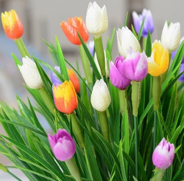 100 Adet 10 FARKLI Mix Tulip Seed Lale Tohumu + 10 Adet Hediye Hollanda Gülü Çiçek Tohumu - 1