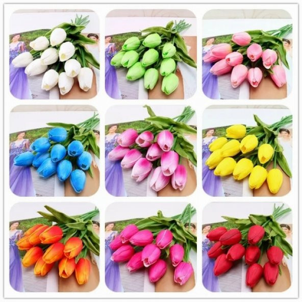 50 Adet 10 FARKLI Mix Tulip Seed Lale Tohumu + 10 Adet Hediye K.Renk Zambak Çiçek Tohumu