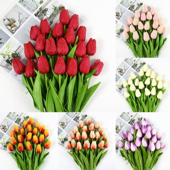 10 Adet 10 FARKLI RENK Mix Tulip Seed Lale Tohumu + 10 Adet Hediye K.Renk Küpe Çiçek Tohumu