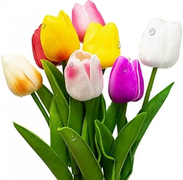 10 Adet 10 FARKLI RENK Mix Tulip Seed Lale Tohumu + 10 Adet Hediye K.Renk Küpe Çiçek Tohumu