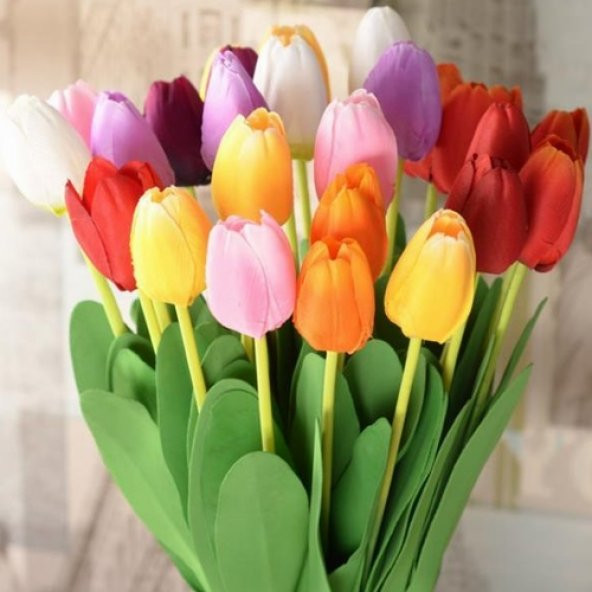 10 Adet 10 FARKLI RENK Mix Tulip Seed Lale Tohumu + 10 Adet Hediye K.Renk Küpe Çiçek Tohumu