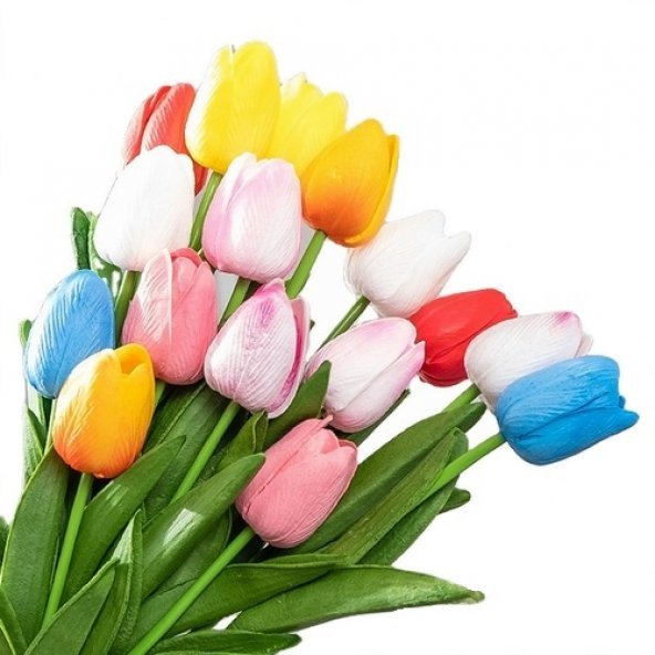 10 Adet 10 FARKLI RENK Mix Tulip Seed Lale Tohumu + 10 Adet Hediye K.Renk Antoryum Çiçek Tohumu