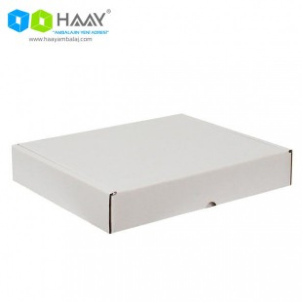 HAAY AMBALAJ 39,5x31x6,5cm Kilitli Kutu - Beyaz ( 3 adet) - 1