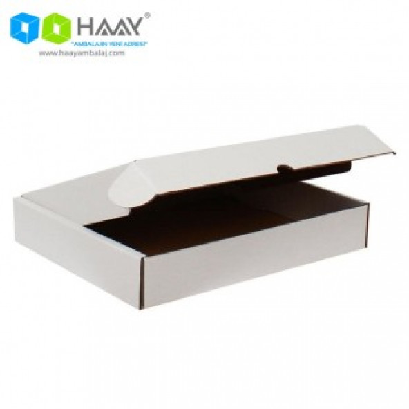 HAAY AMBALAJ 39,5x31x6,5cm Kilitli Kutu - Beyaz ( 3 adet) - 2