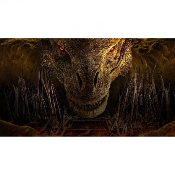 House of Dragon Poster 40x70 Cm