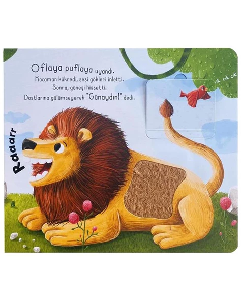 İlk Dokun Hisset Kitabım Ormana Dokun - Resim 2