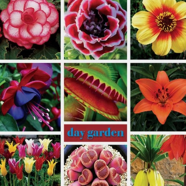 DAY 10 Adet Venüs Fly Trap Sinek Kapan Bitkisi Tohumu +  10 ADET Zambak Çiçek Tohumu ürün görseli 1