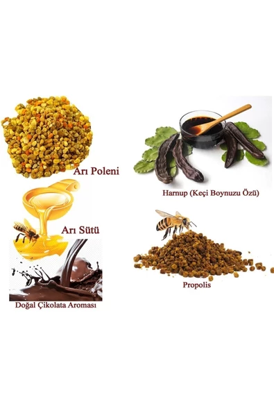 lexton Propolis & Polen Arı Sütü Katkılı Çikolata Aromalı Harnup Özü 640gr - 2