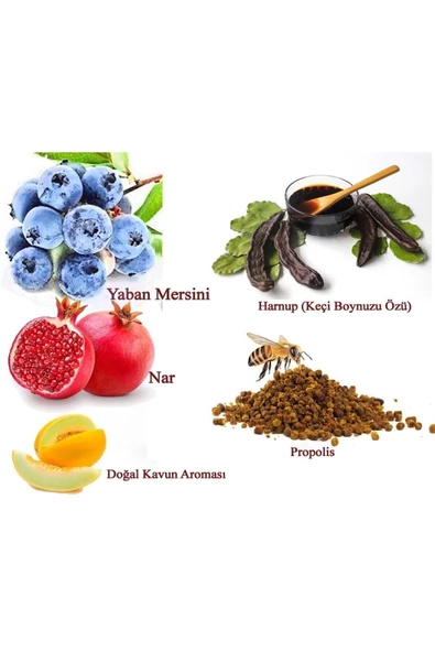 lexton Propolis Yaban Mersini Nar Katkılı Kavun Aromalı Harnup Özü 640gr - 2