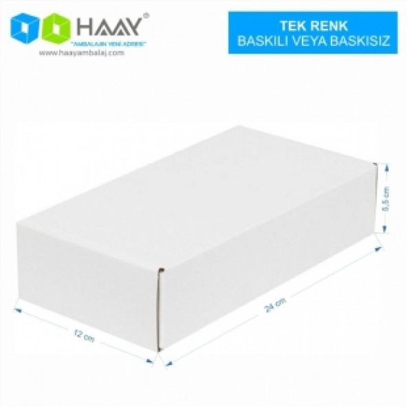 HAAY AMBALAJ 24x12x5,5cm Kilitli Kutu - Beyaz ( 10 ADET)