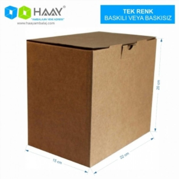 HAAY AMBALAJ 22x15x20cm Kilitli Kutu - Kraft ( 10 ADET)