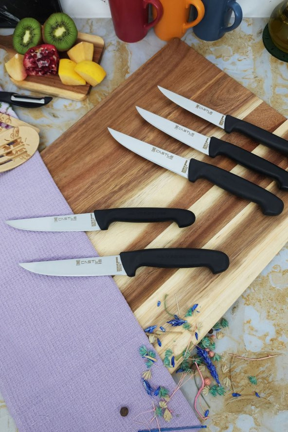 CASTLE KITCHEN Incisive Mutfak Bıçak Seti 5li Günlük Kullanım Et Ekmek Sebze Meyve Bıçağı