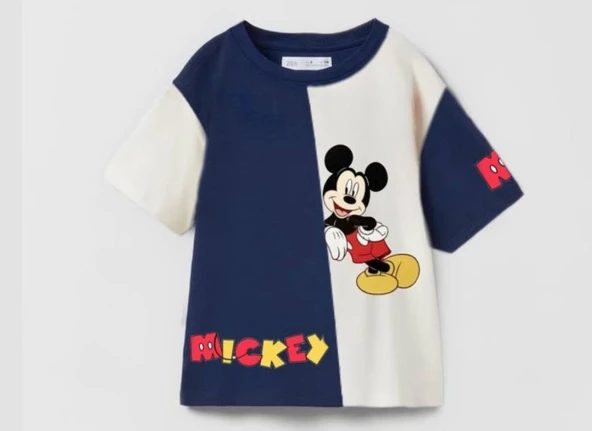 livaliva 1810 %100 Pamuklu Erkek Çocuk Baskılı Şort Takım ürün görseli