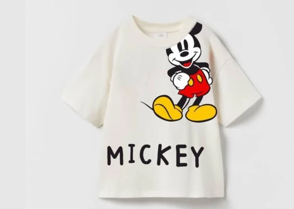 livaliva 2115 %100 Pamuklu Erkek Çocuk Baskılı Şort Takım - Resim 2