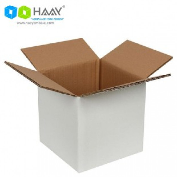 HAAY AMBALAJ 20x20x20cm Çift Oluklu Beyaz Koli  ( 2 ADET) - 2