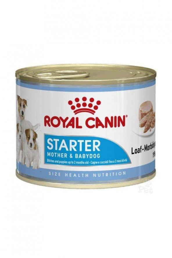 Royal Canin Starter Mousse Anne Ve Yavruları Için Köpek Konservesi 195 gr