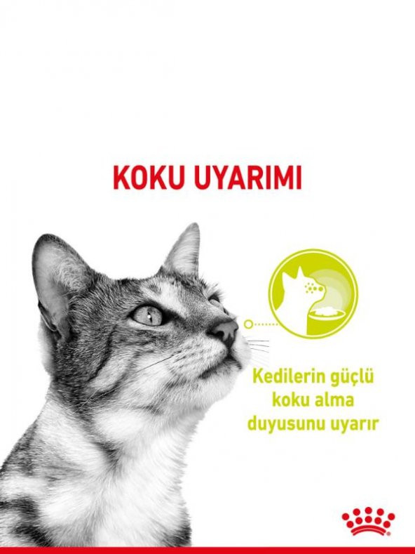 Royal Canin Sensory Smell Gravy 85 Grx12 Adet Kedi Konservesi - 2