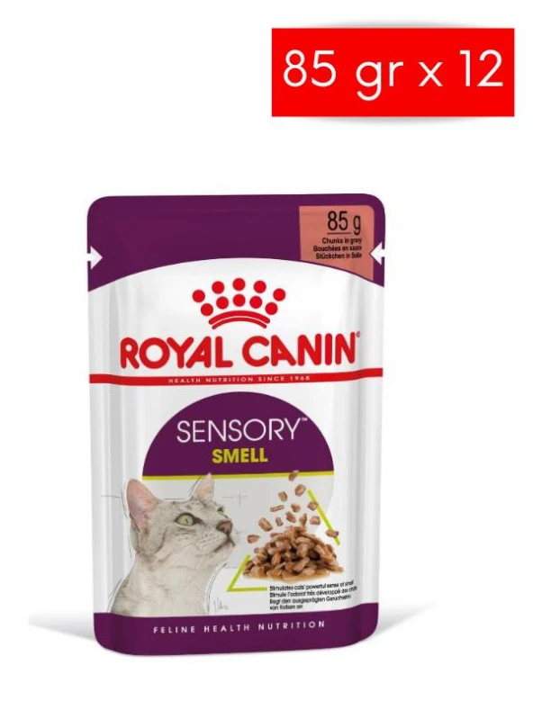 Royal Canin Sensory Smell Gravy 85 Grx12 Adet Kedi Konservesi