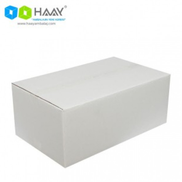HAAY AMBALAJ 60x40x18cm Çift Oluklu Koli - Beyaz