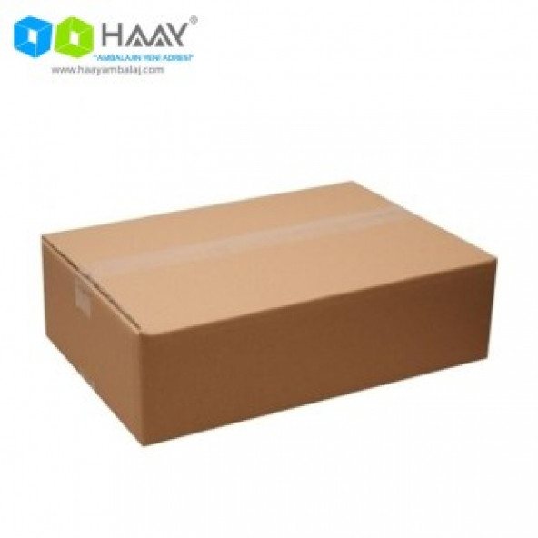 HAAY AMBALAJ 44x29,5x12,7cm Çift Oluklu Koli