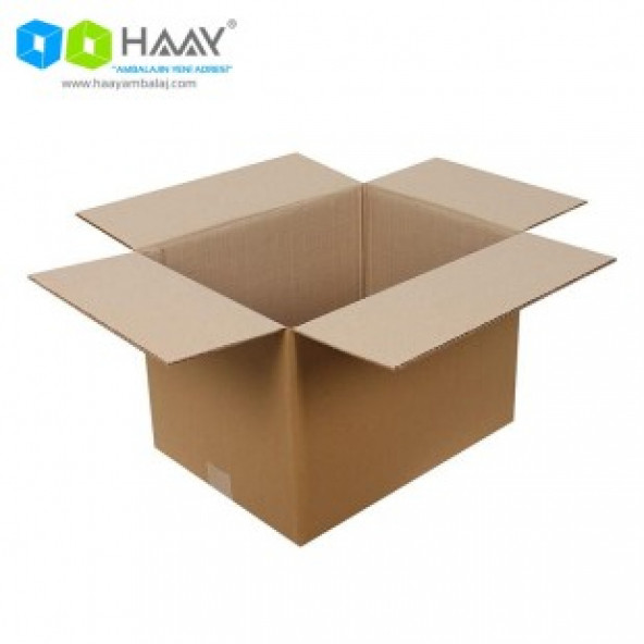 HAAY AMBALAJ 38x29x27cm Çift Oluklu Koli (2 adet) - Resim 3