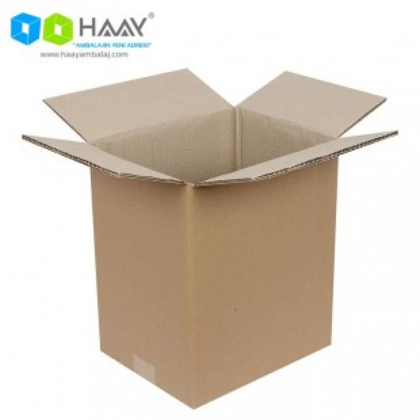 HAAY AMBALAJ 25x20x30cm Çift Oluklu Koli ( 10 ADET) - Resim 2