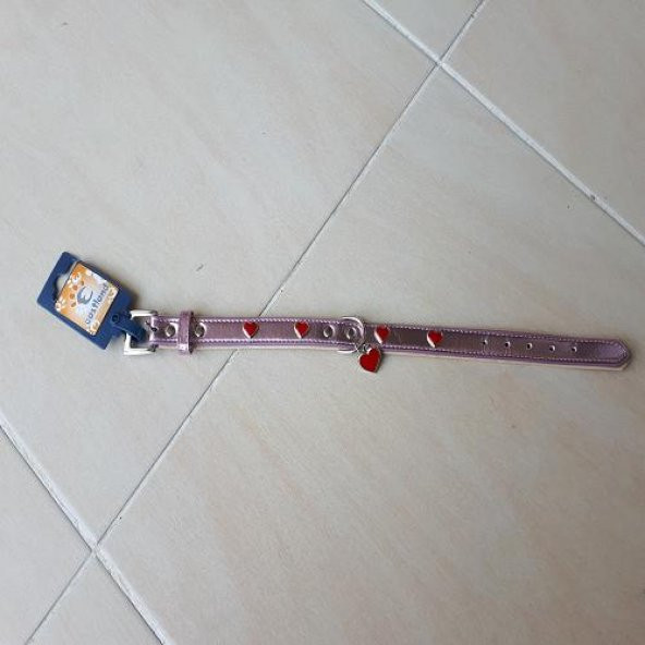 Himarry Küçük ırk köpek tasma kalpli - 2